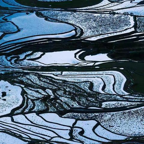 版画元阳