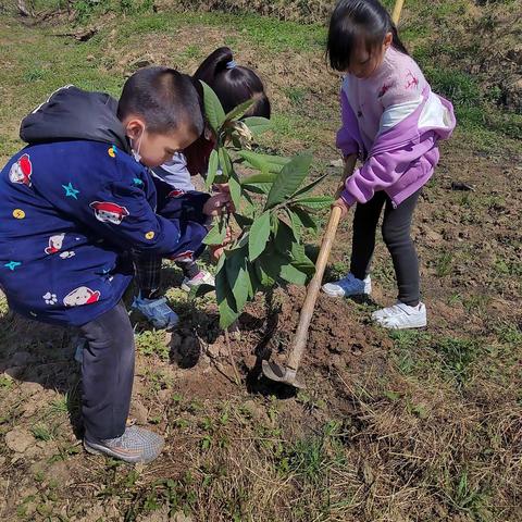 “树”你最美，绿动春天！记清泉镇三台小学植树节活动