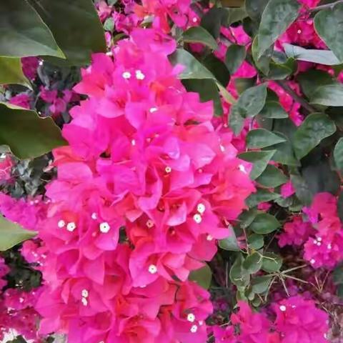 “六一”我们的节日