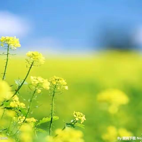 2023.2.20 二年级语文下册第一单元教师集体备课。