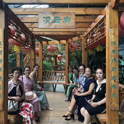 乐龄绽放的模样