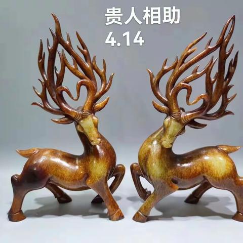 收藏宝贝（2023.2）