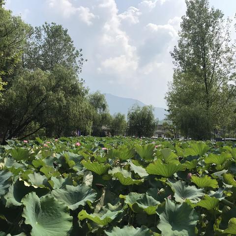 宏村—画里乡村