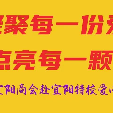 郑州宜阳商会关爱特校家乡行