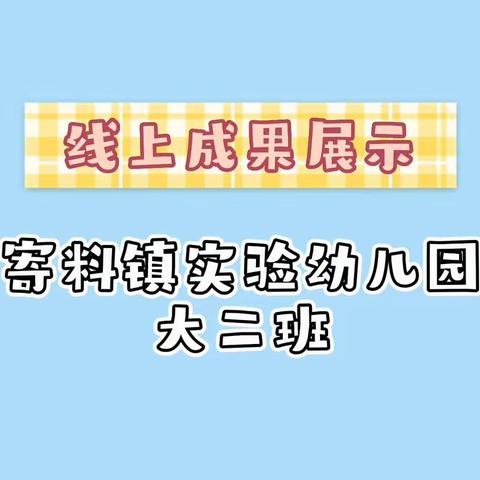 “疫”起加油，“童”样精彩——寄料镇实验幼儿园大二班成果展