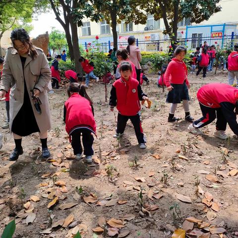 拂晓中心小学 : 师生庆五一，劳动共体验