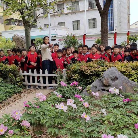 “认识种植中药，传承中药文化”谯城区拂晓中心小学举行中药种植园畅游活动