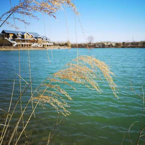 熊猫童画智绘馆曾老师的美篇