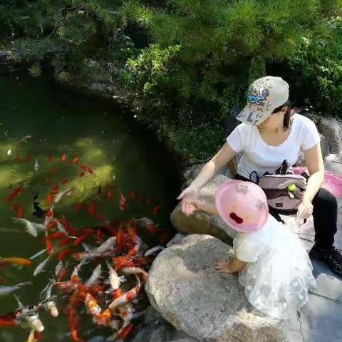 九顶塔民族风情园一日游