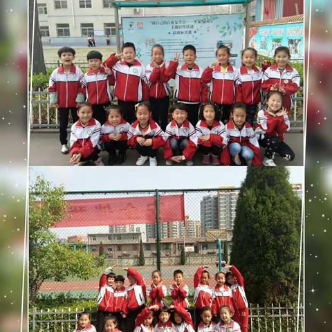 鲜花朵朵绽放 芬芳沁人心脾