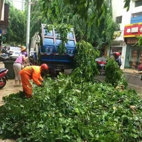 朝阳社区开展环境卫生整治工作