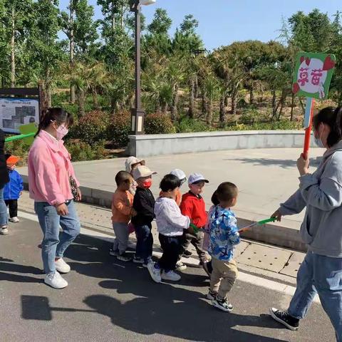 麦迪森全日制早教中心——快乐五一（草莓班🍓）