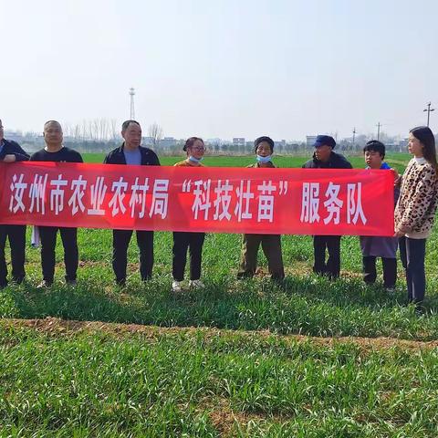 汝州市农业农村局农技中心扎实推进“科技壮苗”行动