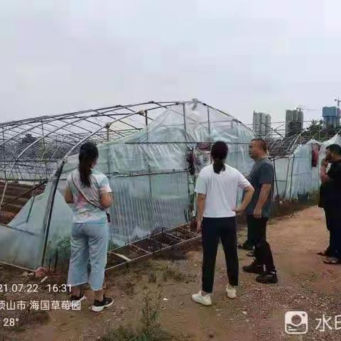 灾后农业生产恢复怎么办，农技人员来帮忙