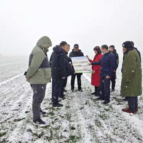 飞雪连天挡不住服务温情，麦田管理技术宣传不停