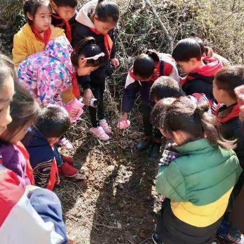 2018年3月23日长明小学开展植树活动