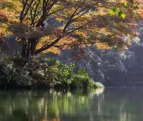 致：蓝城·陶然里