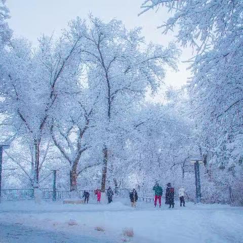 入冬后的第一场雪