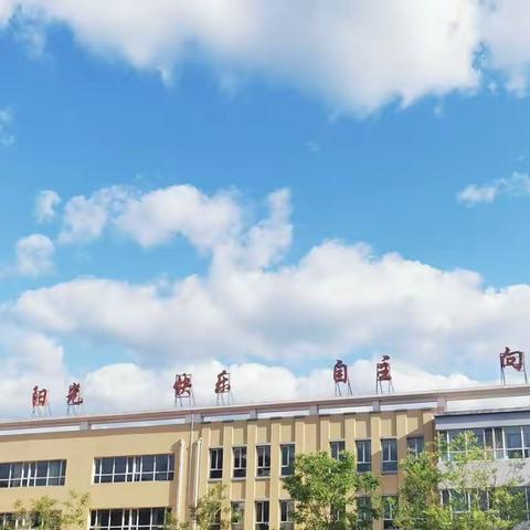 只有向阳生长  才会闪闪发光——双滦五小全体教师参加线上公益讲座学习（之一）