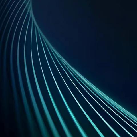 市委办公厅、市政府办公厅领导现场检查海关缉私局搬迁工作情况