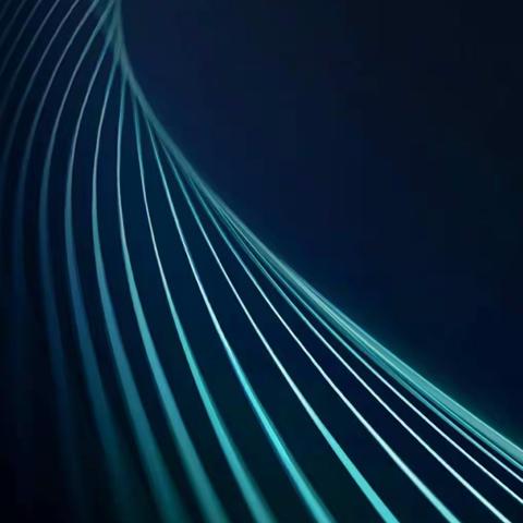 海关缉私局搬迁工作督查日报