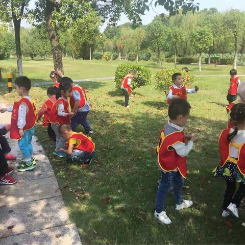 秋游记——寻宝〖🍂〗😘😘