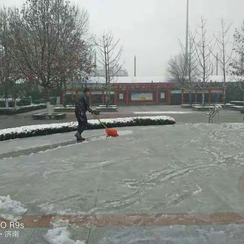 “风雨送春归，飞雪迎春到已是悬崖百丈冰，犹有花枝俏” 七贤绿管所始终走之前，园林人用实际行动来迎接这场瑞雪