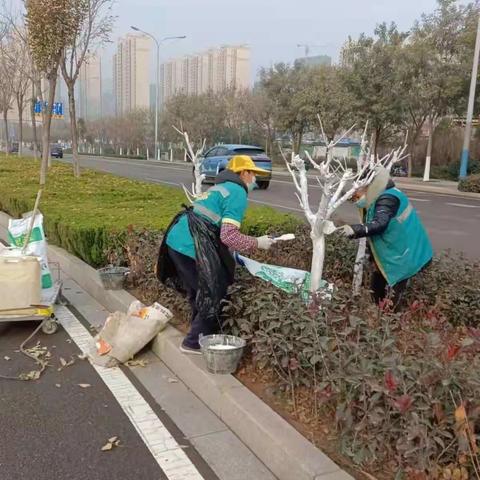 七贤绿化所冬季防护进行时