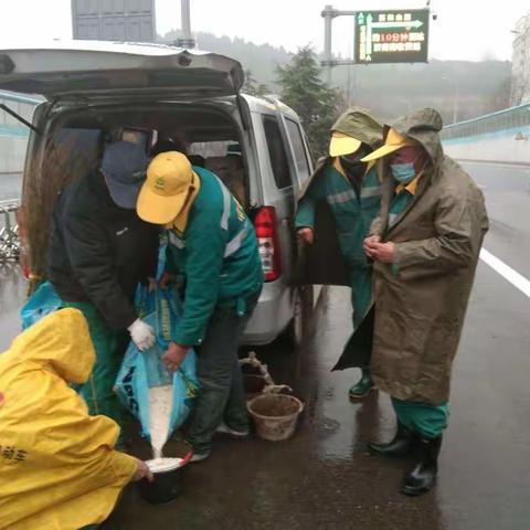 “一年之计在于春”春季万物复苏，春意盎然。春季追肥至关重要，七贤所抓住时机安排调度，七贤辖区工人冒雨施肥