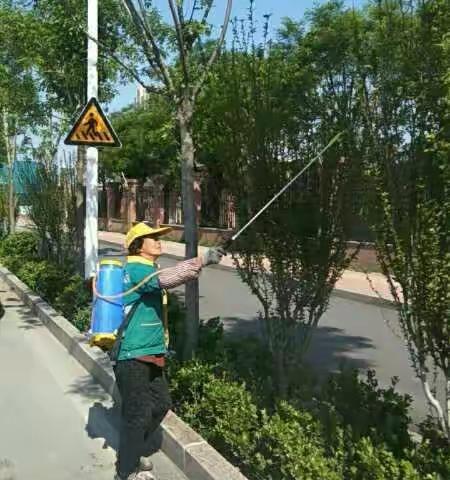 四月份气温回升较快，滋生各种病虫害发生。近期雨水多湿度大病虫害发现很快，七贤辖区提前采取有效措施防治。