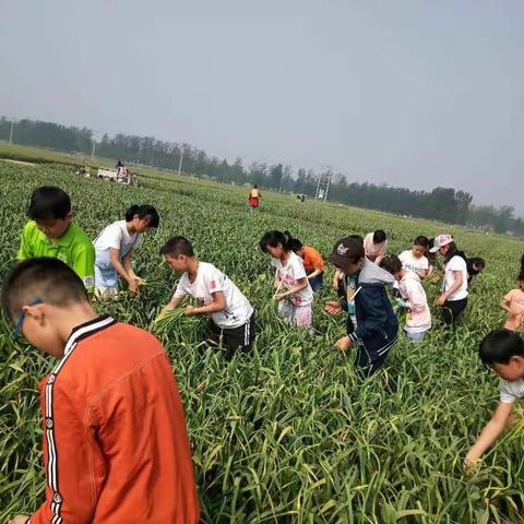 馆陶县永济小学“感恩父母亲•温馨五月情”母亲节活动