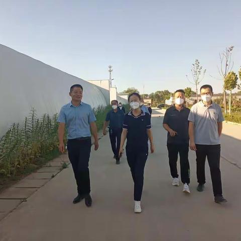 双井镇镇长华春雨带队赴河南考察食用菌种植项目