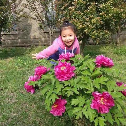 神墨艾莱克英语♛优秀学员♛专访——孟艺鑫
