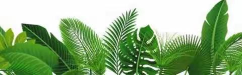 滕州市第二实验小学寒假规划