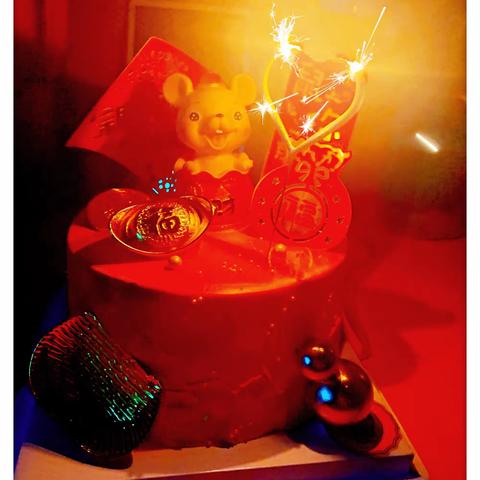 唯一能做的就是守护好自己！——城北小学一(6)班方雨曈的窝家记