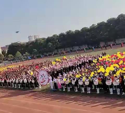益阳市赫山万源学校第十三届校运会——X1601班