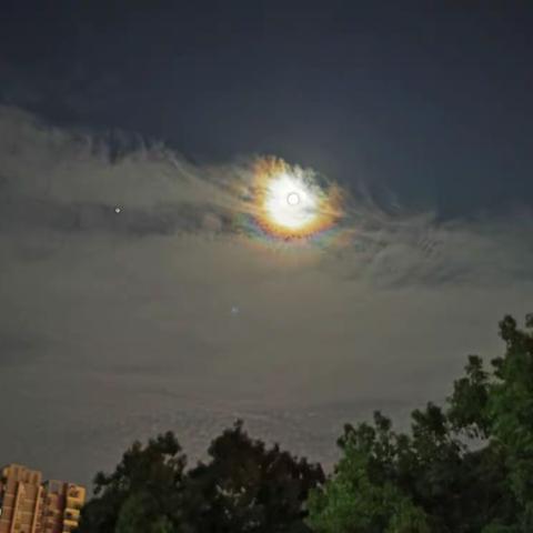 月映桃李