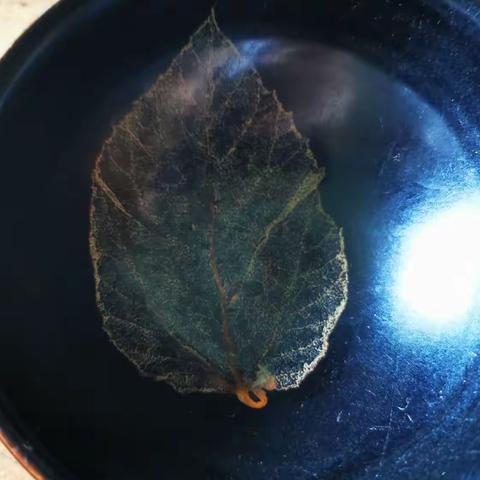 夏日品茗，于普兰集美学茶空间