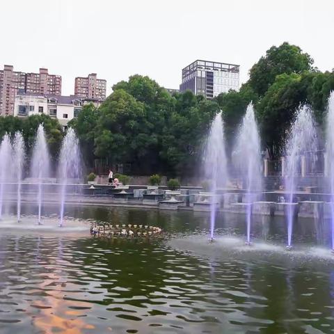 夏至