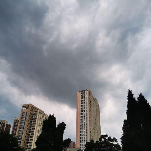 夏日及时雨