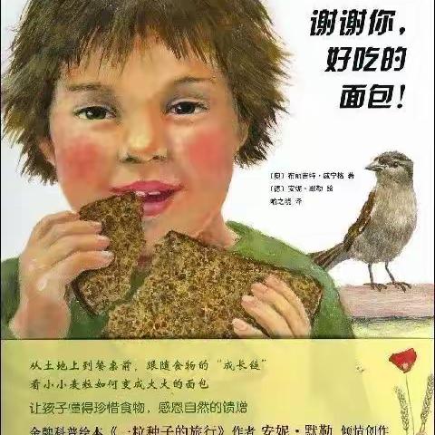 小牛群幼儿园中一班第六周活动总结