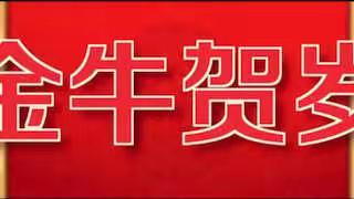 辽宁海航实业有限公司2021年新年贺岁