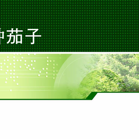 四下科学《11. 种茄子》、《12. 植物的生长》