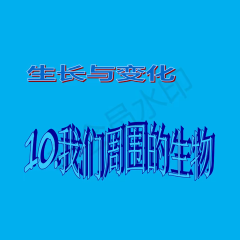 四下科学《10. 周围的生物》