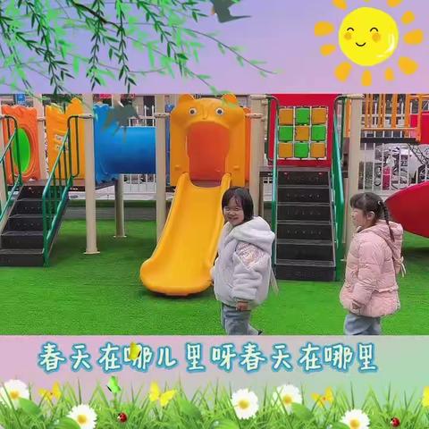 成长树——苗苗一班