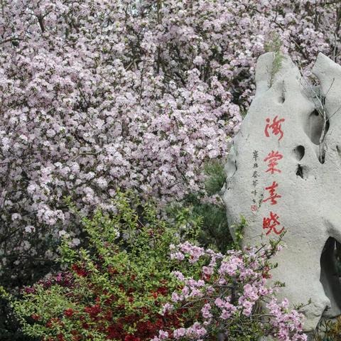 郑州第十二届海棠文化节