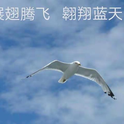 多彩双节假  最美五一〇