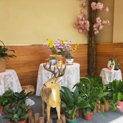 爱嘉贝幼稚园云朵三班——精彩小片段