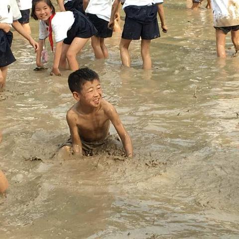 泥潭大作战