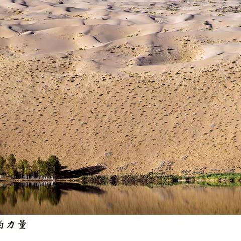 沙漠如诗，戈壁如画